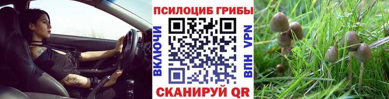 Псилоцибиновые грибы мухоморы  Пионерский 